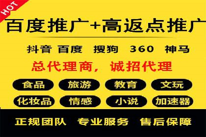 竞价广告投放技巧与案例分析
